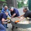 scheibenreparatur 2011-12